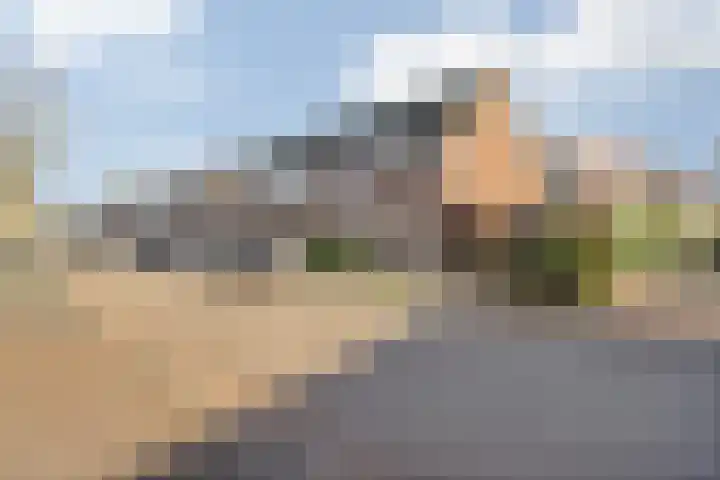 Berkenakker 2 Galder thumbnail 6