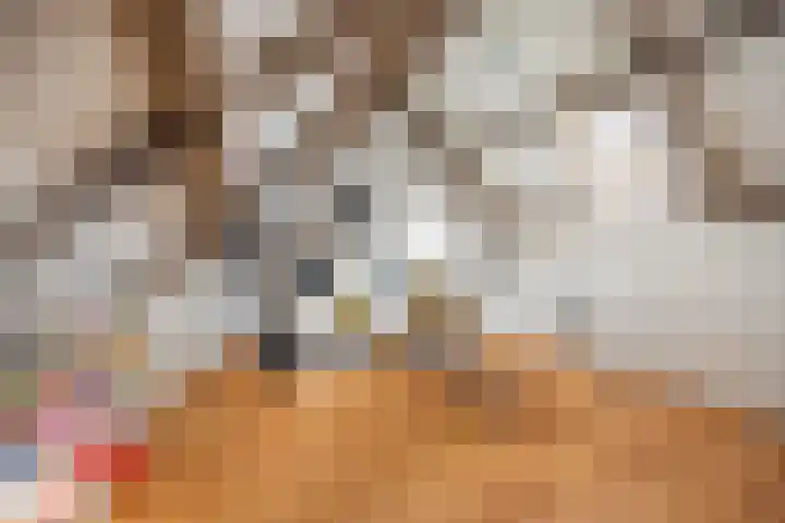 Berkenakker 2 Galder thumbnail 60