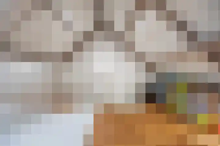 Berkenakker 2 Galder thumbnail 61