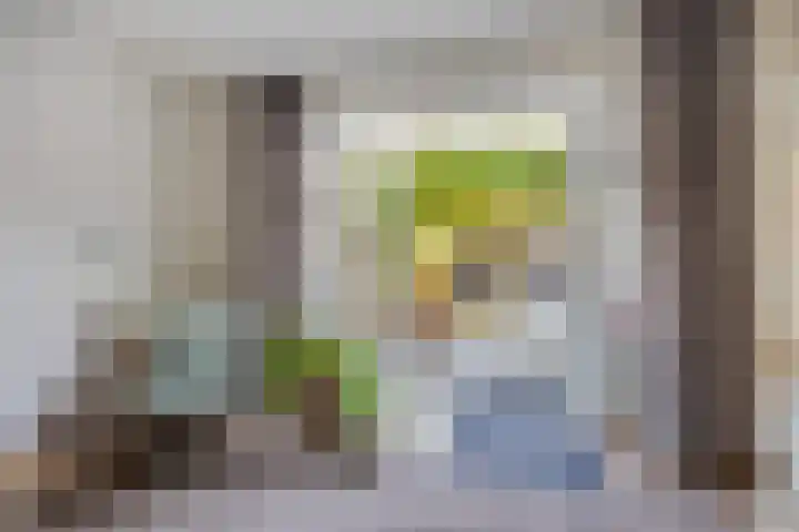 Berkenakker 2 Galder thumbnail 62