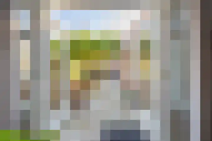 Berkenakker 2 Galder thumbnail 63