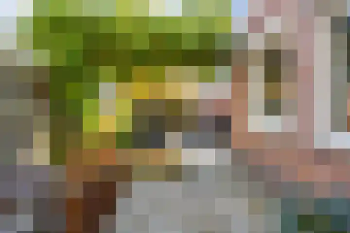 Berkenakker 2 Galder thumbnail 64