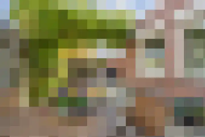 Berkenakker 2 Galder thumbnail 65