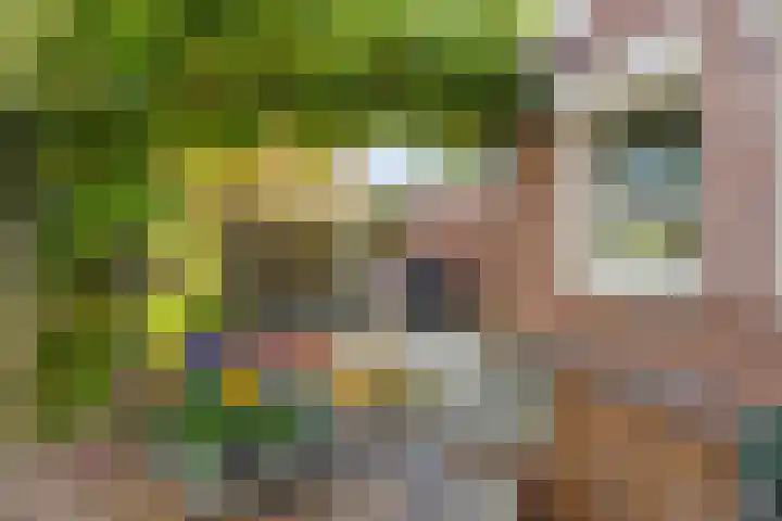Berkenakker 2 Galder thumbnail 66