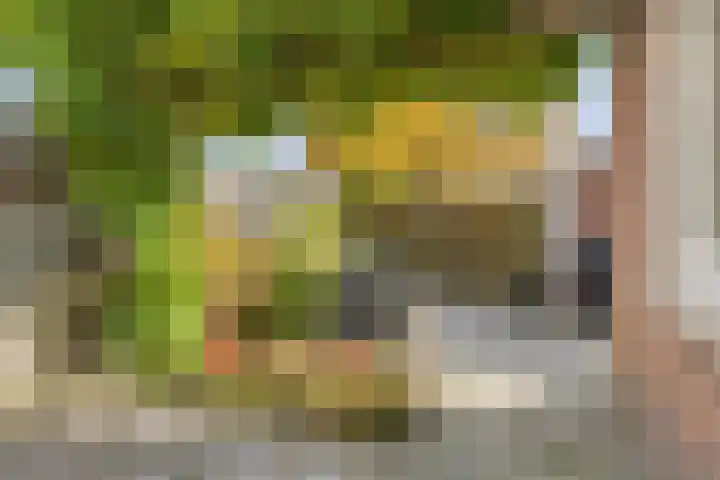 Berkenakker 2 Galder thumbnail 67