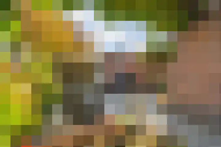 Berkenakker 2 Galder thumbnail 68