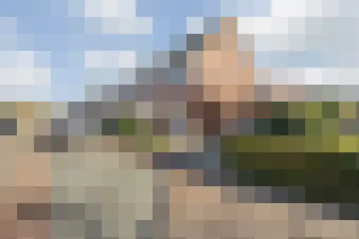 Berkenakker 2 Galder thumbnail 7