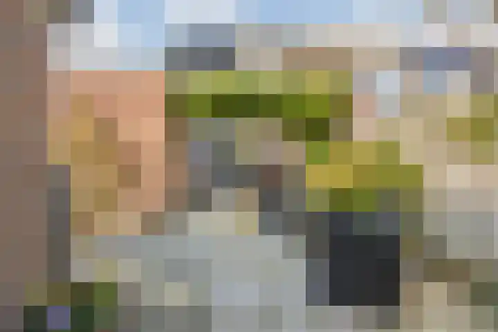 Berkenakker 2 Galder thumbnail 70