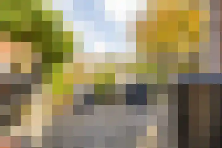 Berkenakker 2 Galder thumbnail 71