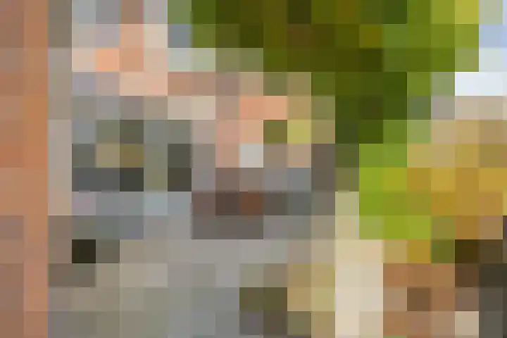 Berkenakker 2 Galder thumbnail 72