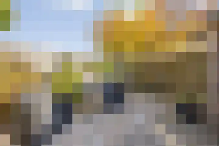 Berkenakker 2 Galder thumbnail 73