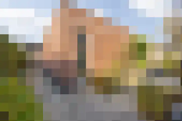 Berkenakker 2 Galder thumbnail 74