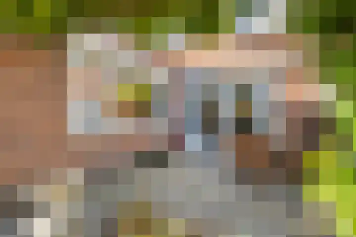 Berkenakker 2 Galder thumbnail 77