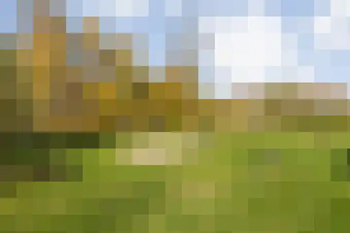 Berkenakker 2 Galder thumbnail 79