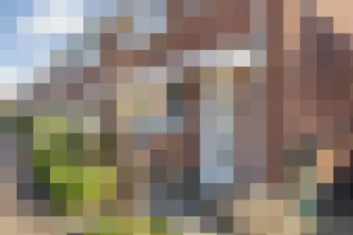 Berkenakker 2 Galder thumbnail 8