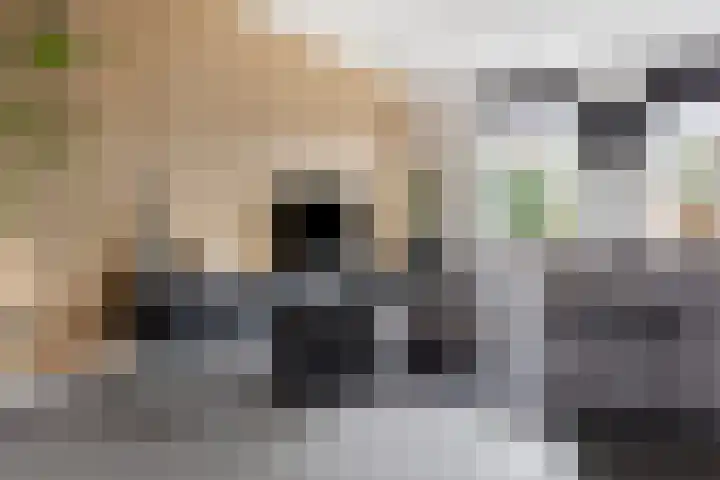 Berkenblad 14 Oostvoorne thumbnail 10