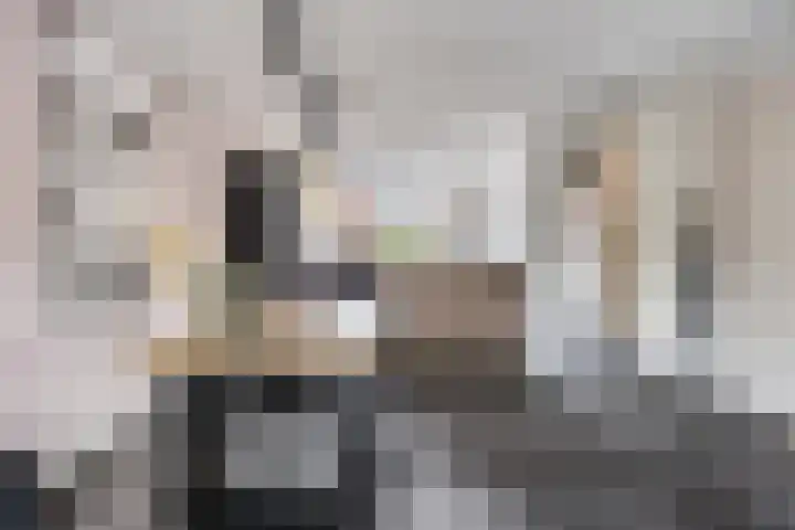 Berkenblad 14 Oostvoorne thumbnail 12