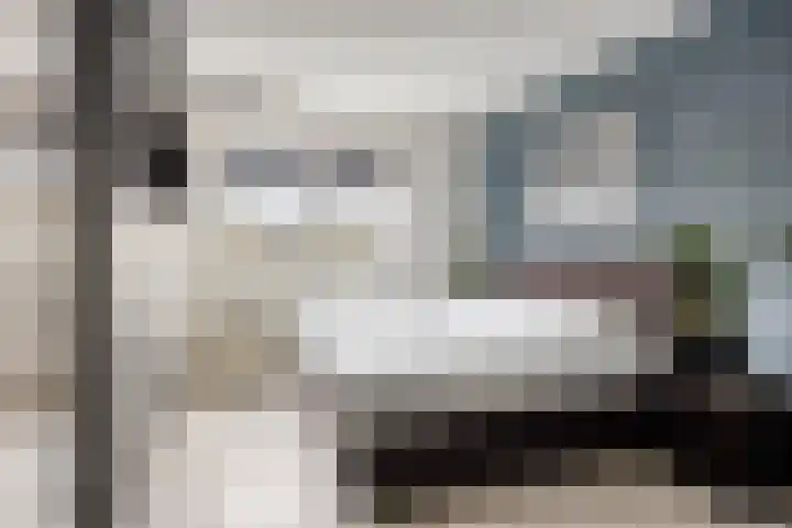 Berkenblad 14 Oostvoorne thumbnail 18