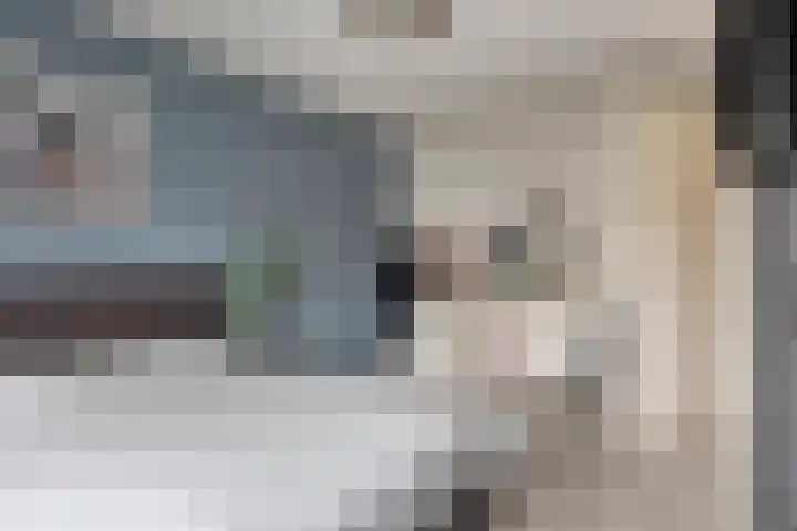 Berkenblad 14 Oostvoorne thumbnail 19