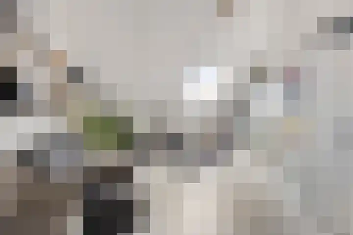Berkenblad 14 Oostvoorne thumbnail 25