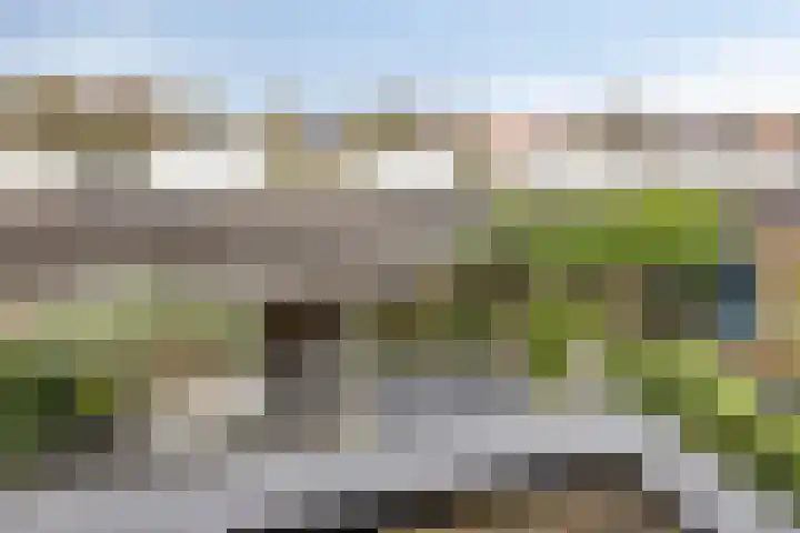 Berkenblad 14 Oostvoorne thumbnail 28