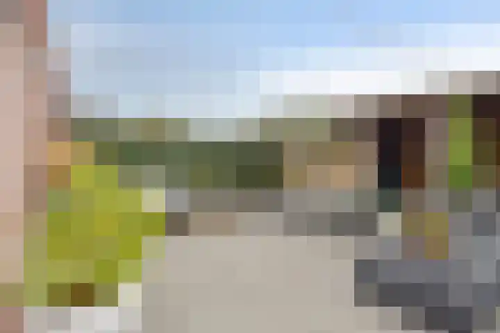 Berkenblad 14 Oostvoorne thumbnail 29