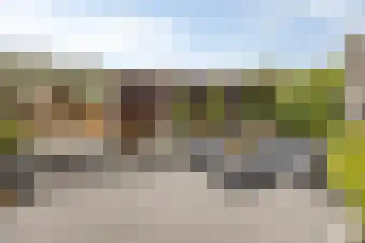 Berkenblad 14 Oostvoorne thumbnail 30