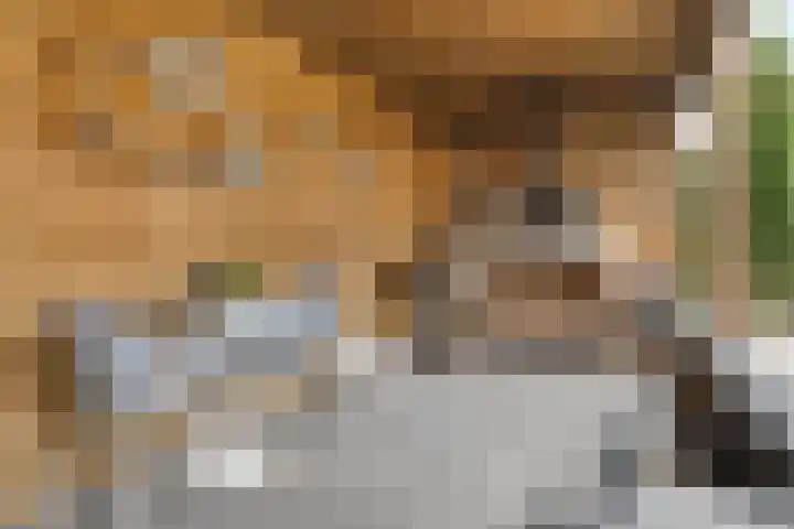 Berkenblad 14 Oostvoorne thumbnail 31