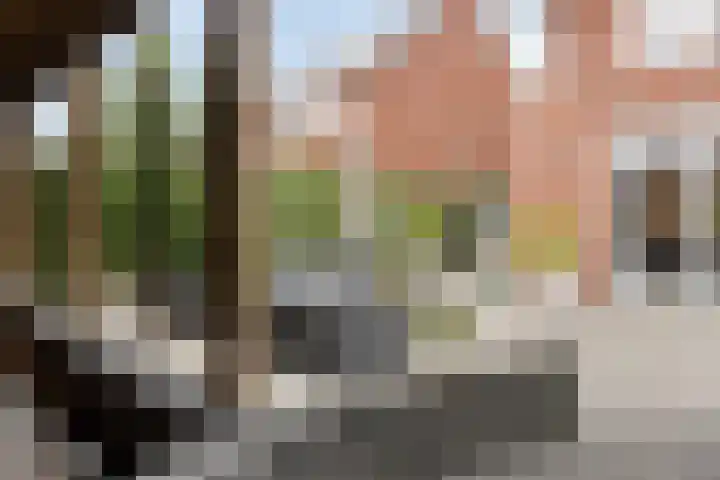 Berkenblad 14 Oostvoorne thumbnail 32