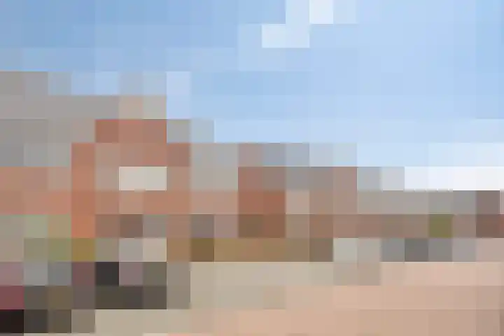 Berkenblad 14 Oostvoorne thumbnail 35