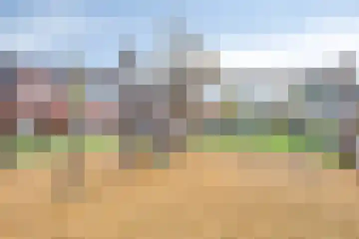Berkenblad 14 Oostvoorne thumbnail 36
