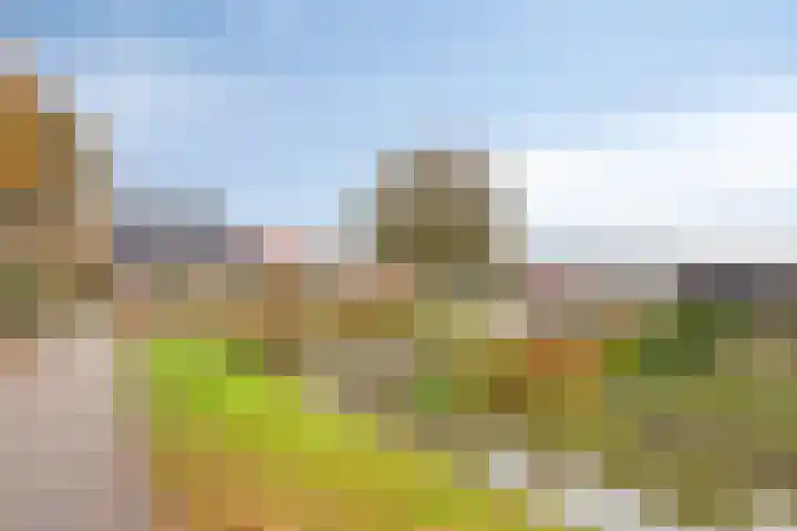 Berkenblad 14 Oostvoorne thumbnail 38