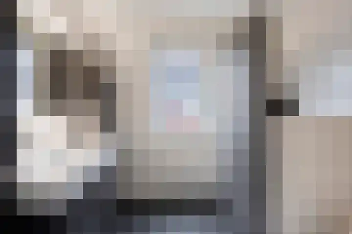 Berkenblad 14 Oostvoorne thumbnail 4
