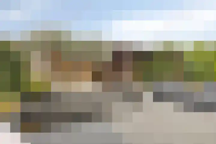 Berkenblad 14 Oostvoorne thumbnail 5