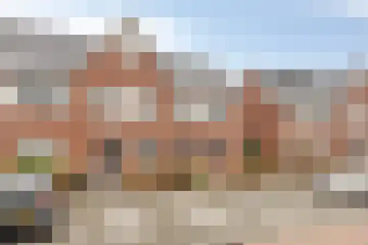 Berkenblad 14 Oostvoorne thumbnail 6