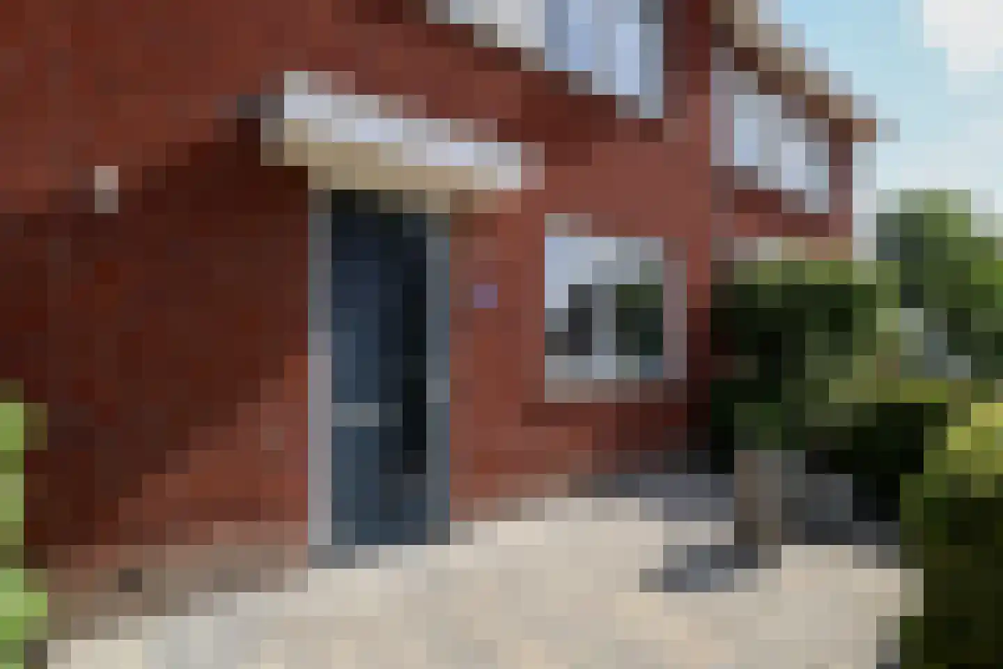 Berkenblad 17 Oostvoorne thumbnail 13