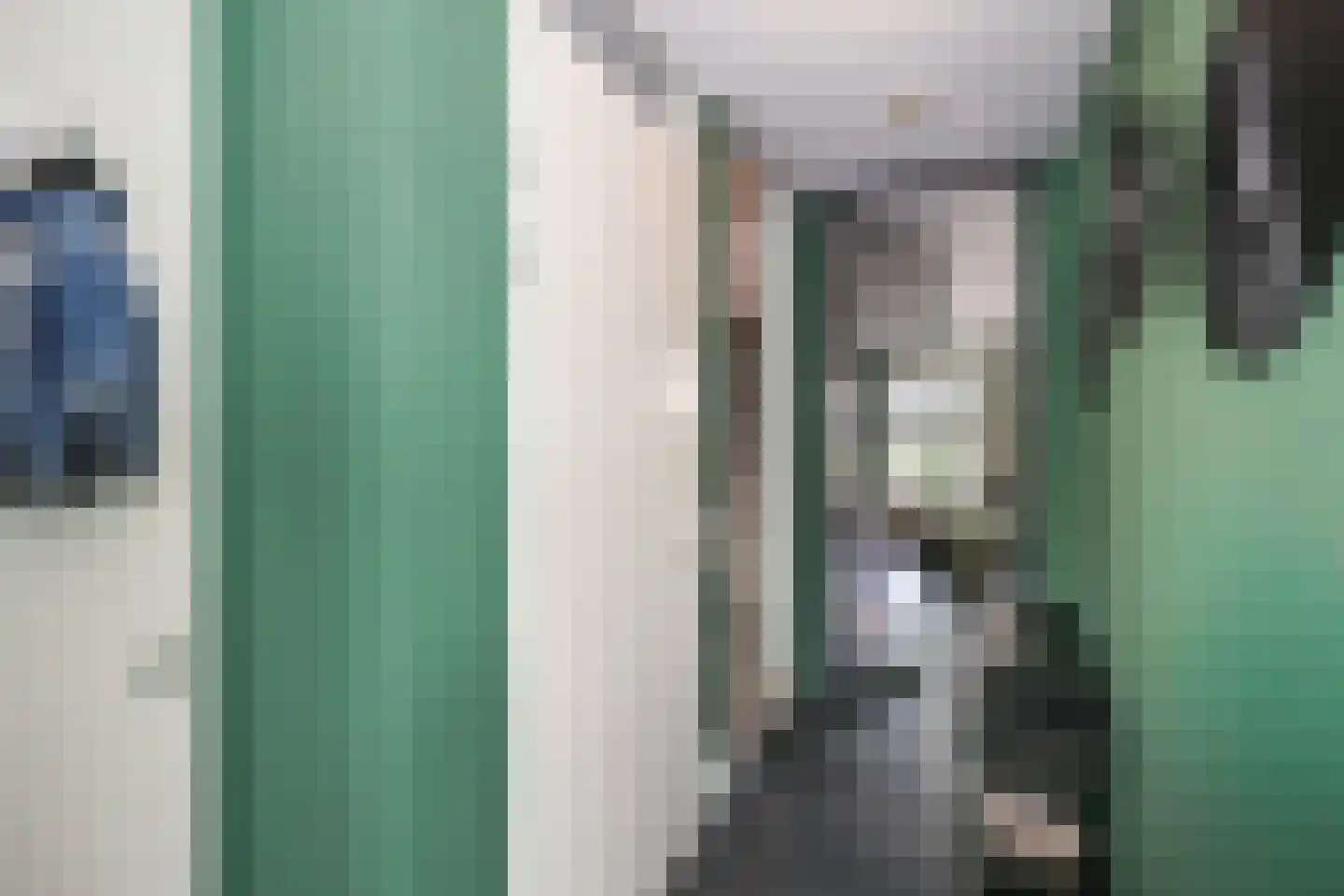 Berkenblad 17 Oostvoorne thumbnail 14