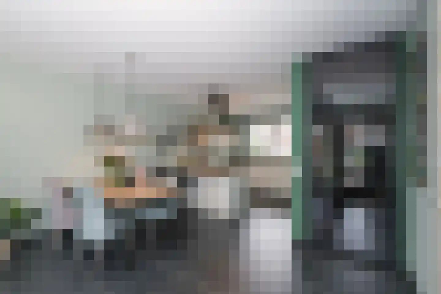 Berkenblad 17 Oostvoorne thumbnail 17