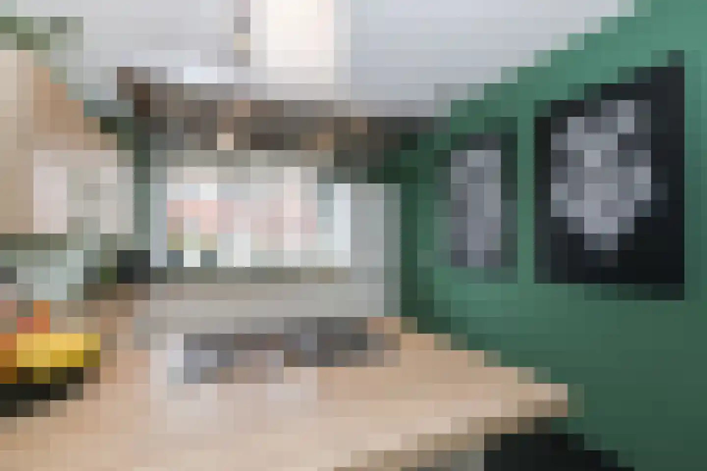 Berkenblad 17 Oostvoorne thumbnail 27