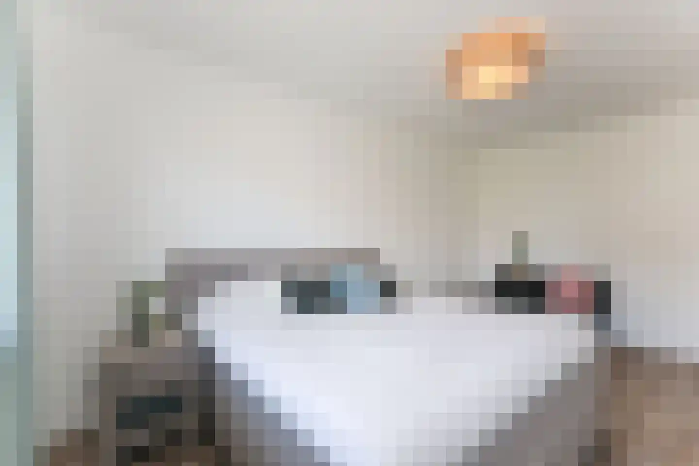 Berkenblad 17 Oostvoorne thumbnail 36