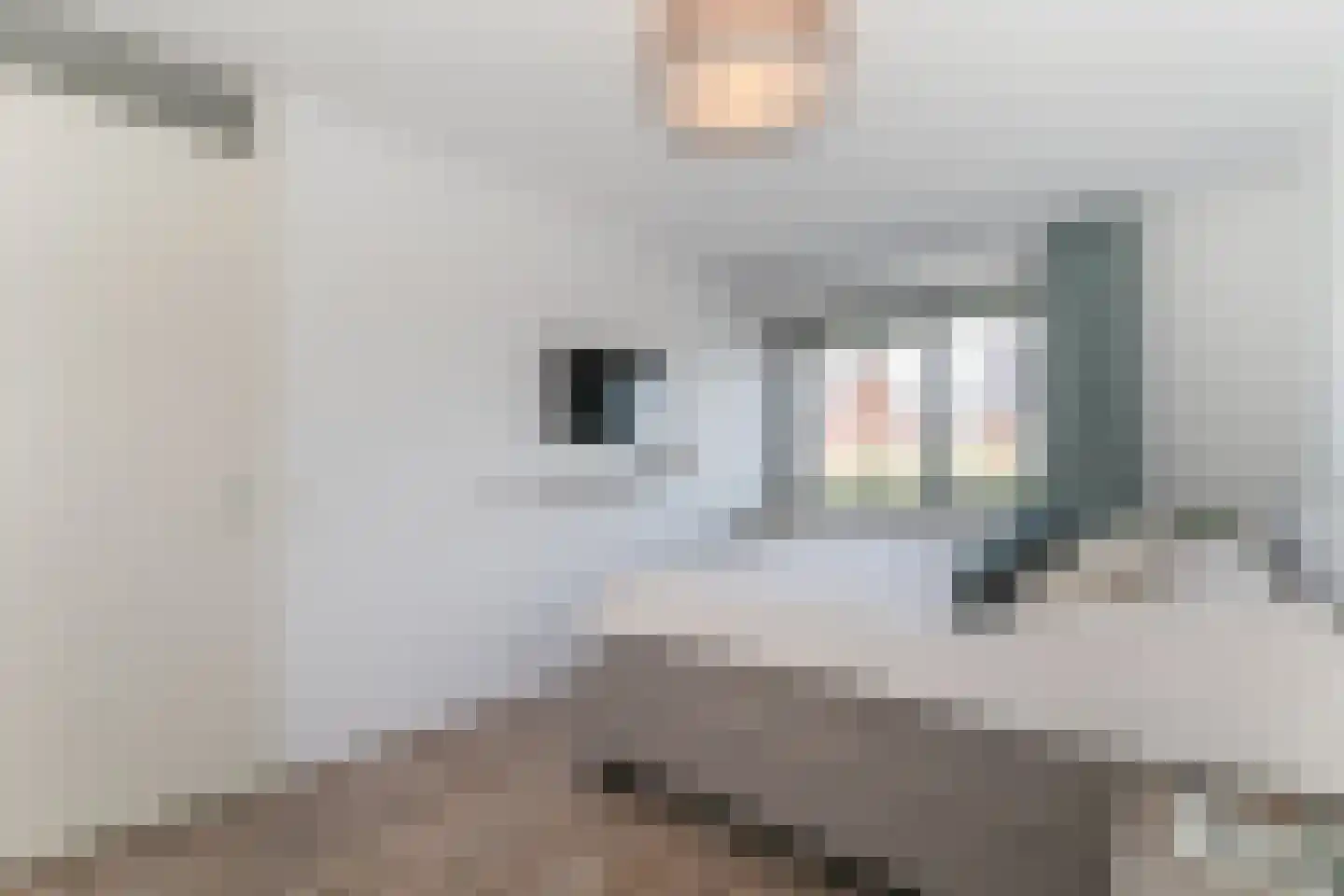 Berkenblad 17 Oostvoorne thumbnail 38