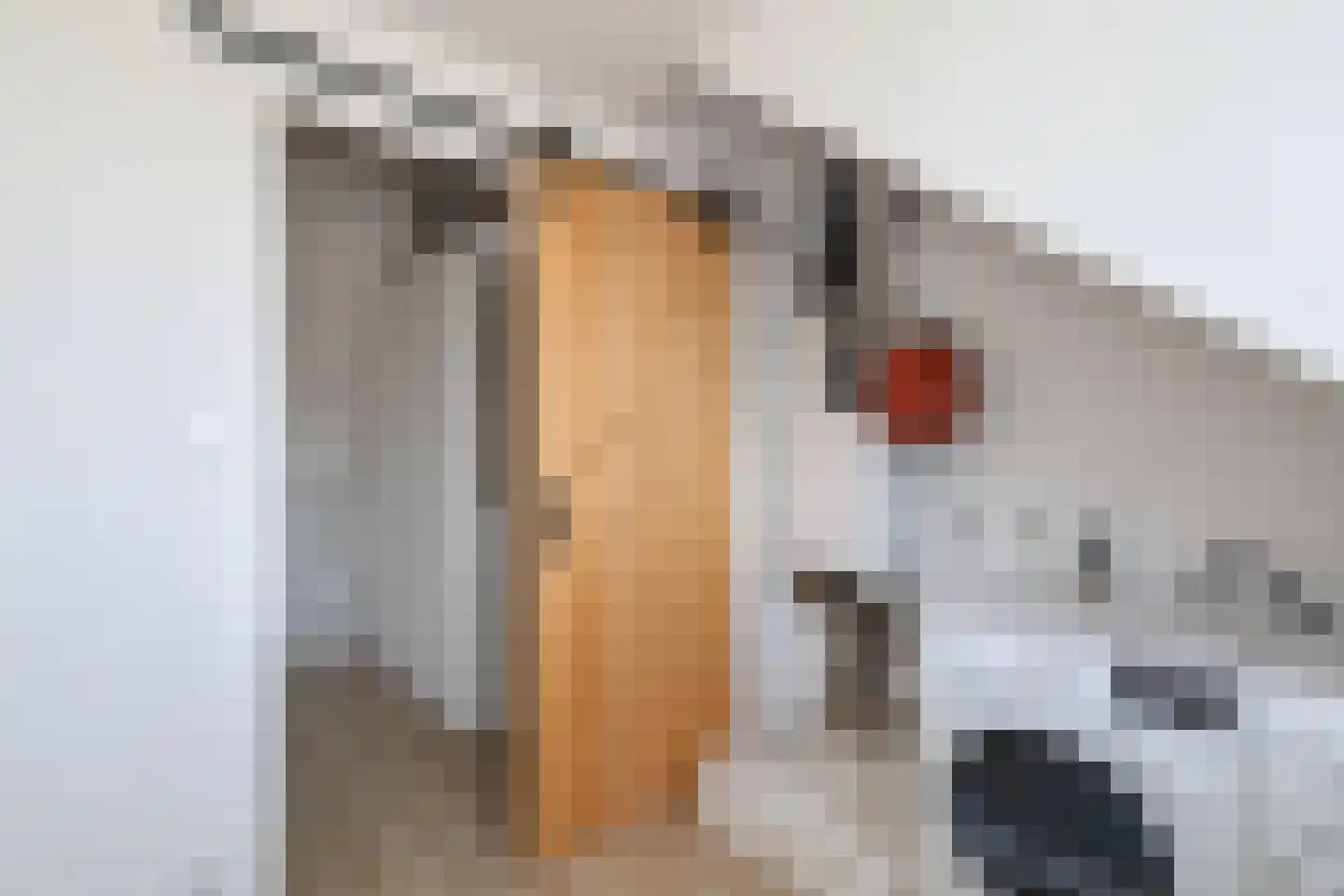 Berkenblad 17 Oostvoorne thumbnail 45