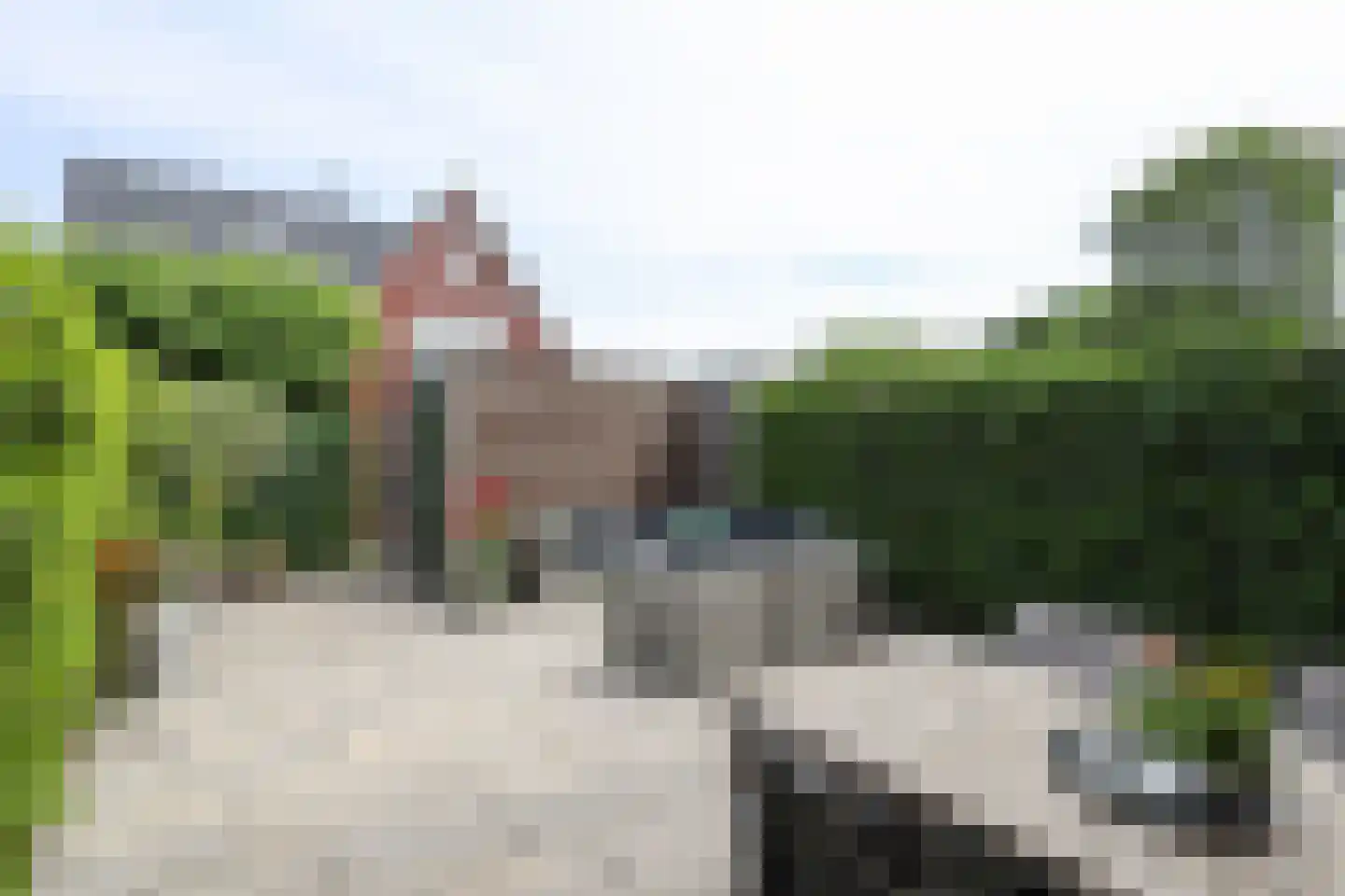 Berkenblad 17 Oostvoorne thumbnail 59