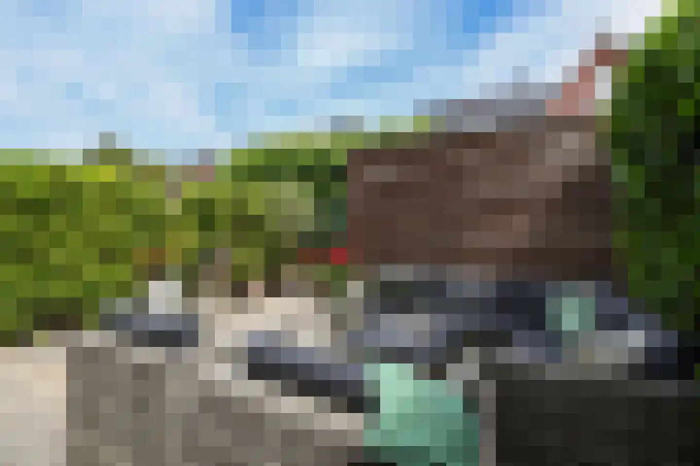 Berkenblad 17 Oostvoorne thumbnail 60
