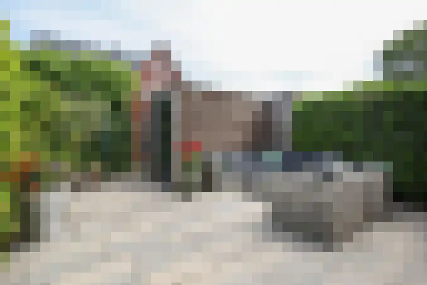 Berkenblad 17 Oostvoorne thumbnail 62