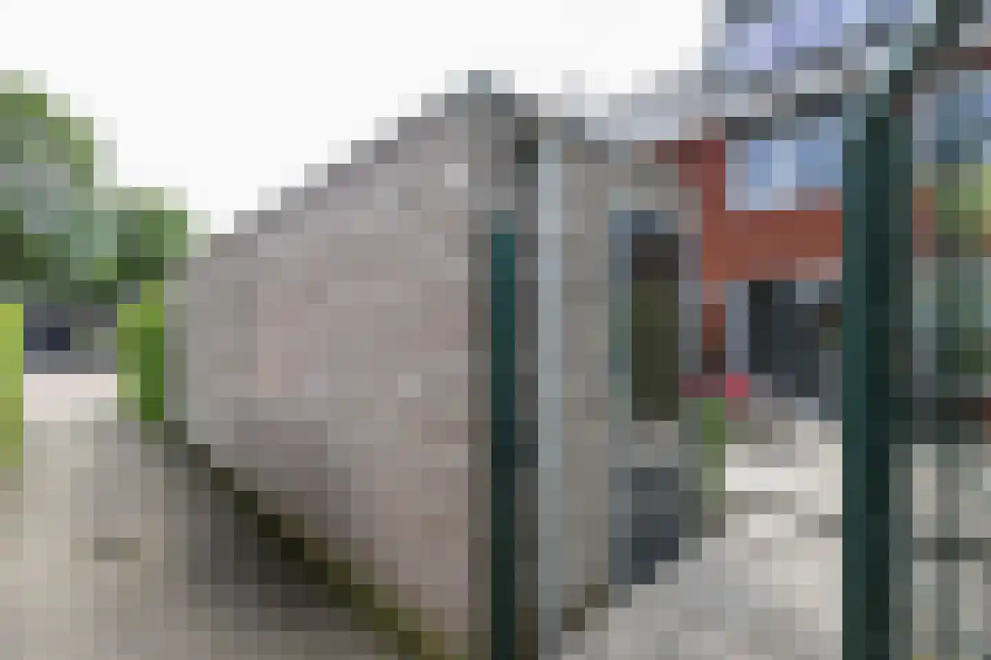 Berkenblad 17 Oostvoorne thumbnail 64