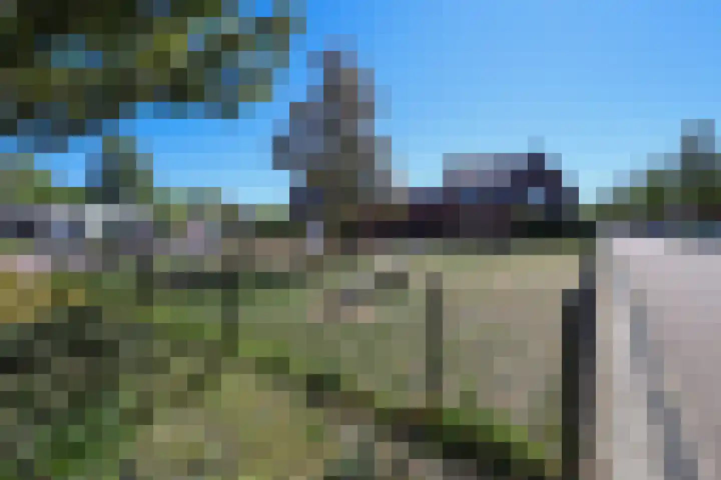 Berkenblad 17 Oostvoorne thumbnail 66