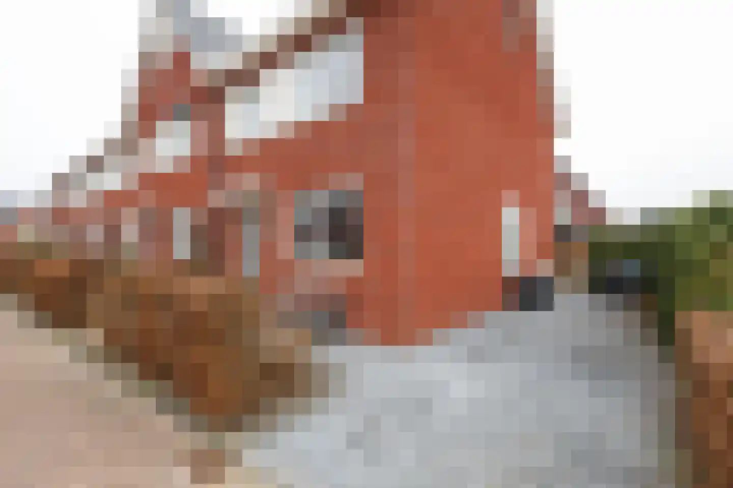 Berkenblad 19 Oostvoorne thumbnail 10