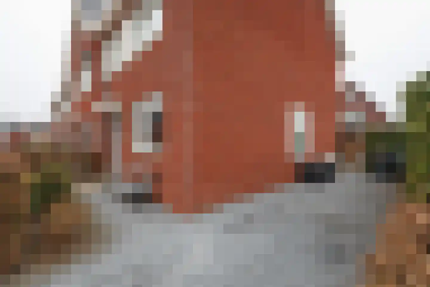 Berkenblad 19 Oostvoorne thumbnail 11