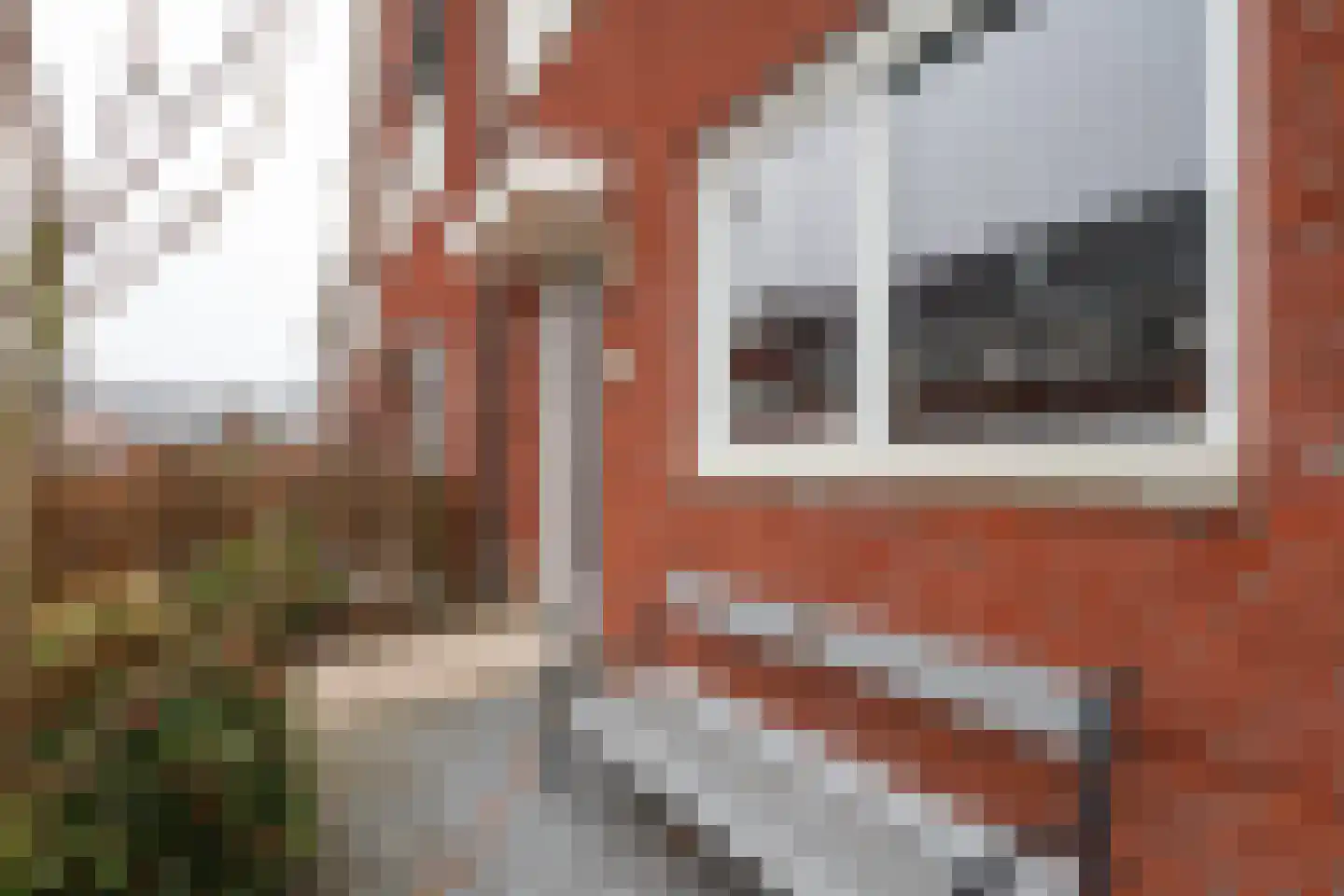 Berkenblad 19 Oostvoorne thumbnail 14